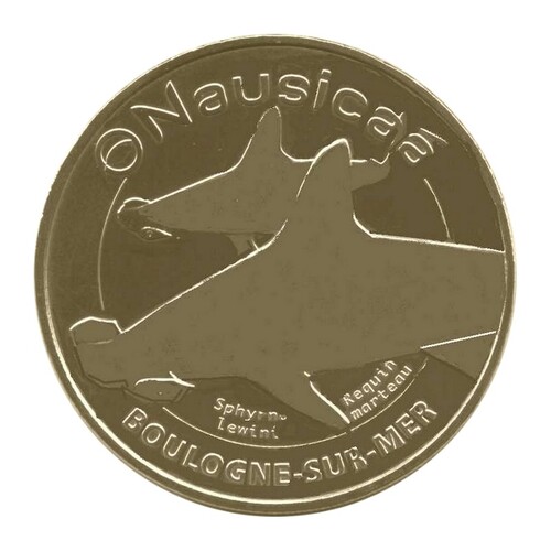 Boulogne-sur-Mer - Nausicaá - Requin marteau