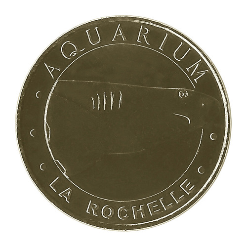 Aquarium de la Rochelle - Le requin Pointe Noir - Cinq points
