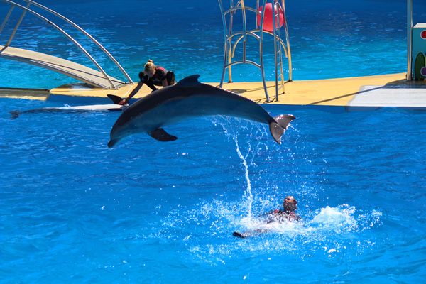 Marineland