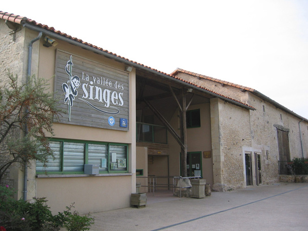 La Vallée Des Singes